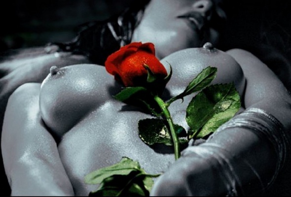 Gifts Turn Aries On