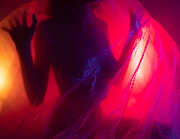 teledildonics phonesex