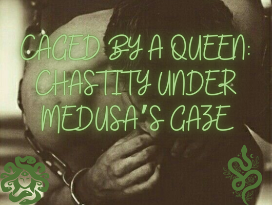 Caged by a Queen Blog Image