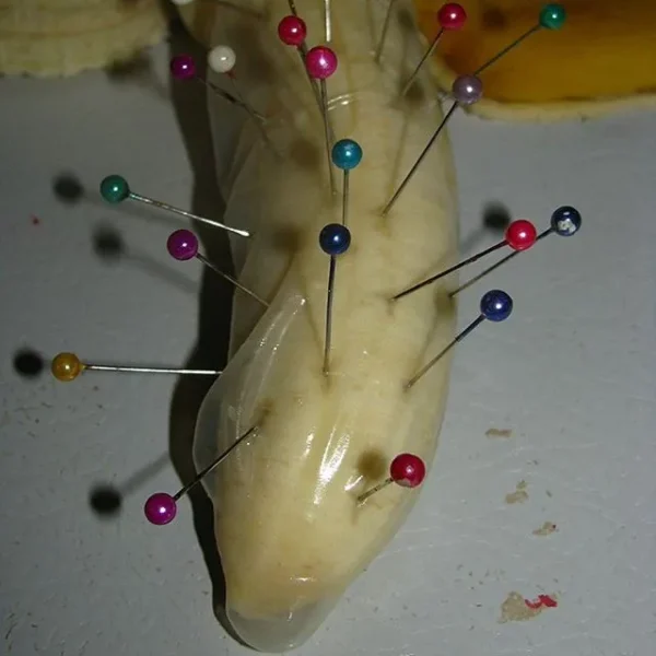penis torture