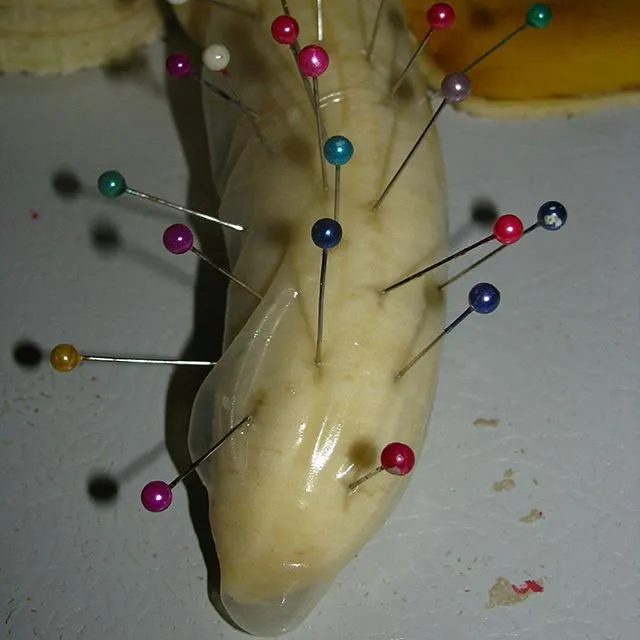 penis torture