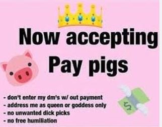 Pay Pig