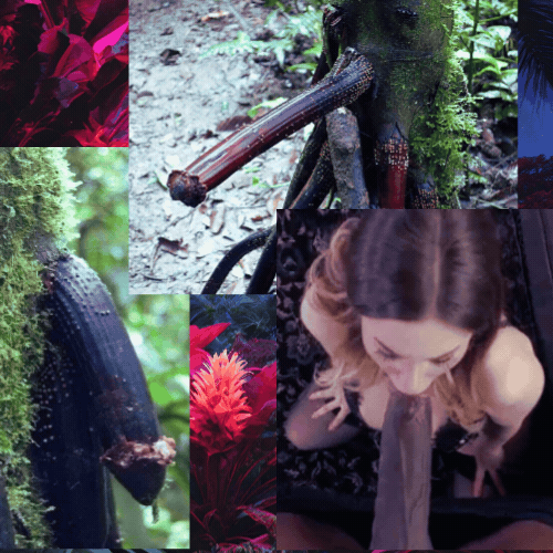 Masturbating Zephyr and the Tree Blowjob