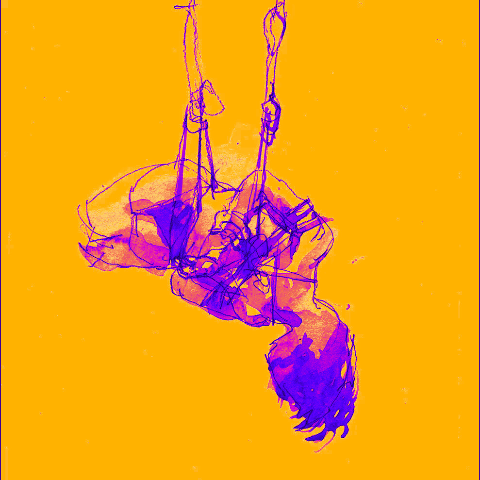 shibari bondage